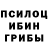 Галлюциногенные грибы мицелий Nurbol Sultan