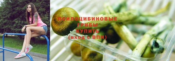 дживик Баксан