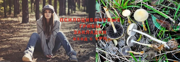 а пвп мука Балахна