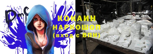 дживик Баксан